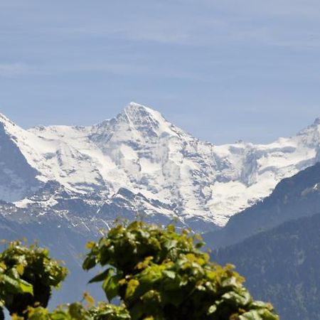 Hotel Schonegg Jungfrau Exteriér fotografie
