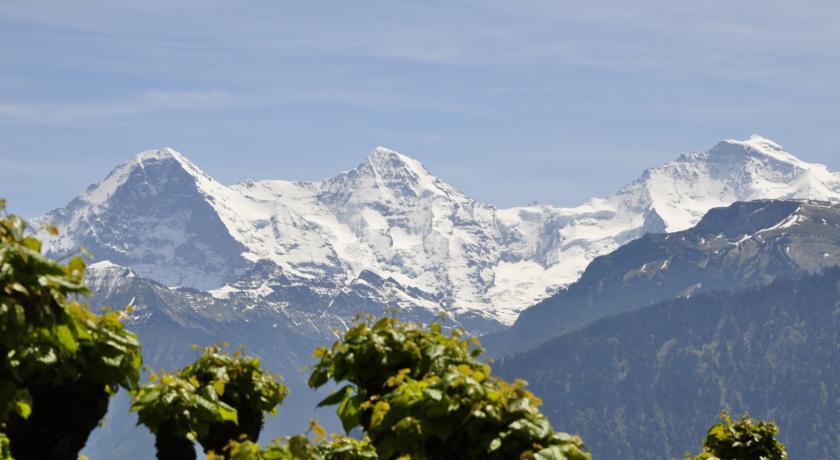 Hotel Schonegg Jungfrau Exteriér fotografie